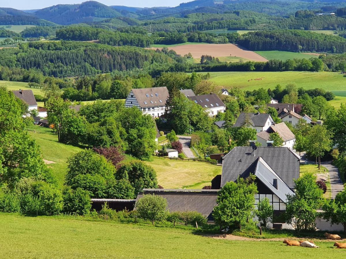 Flat With Private Pool In Sauerland Apartment อัทเทินดอร์น ภายนอก รูปภาพ